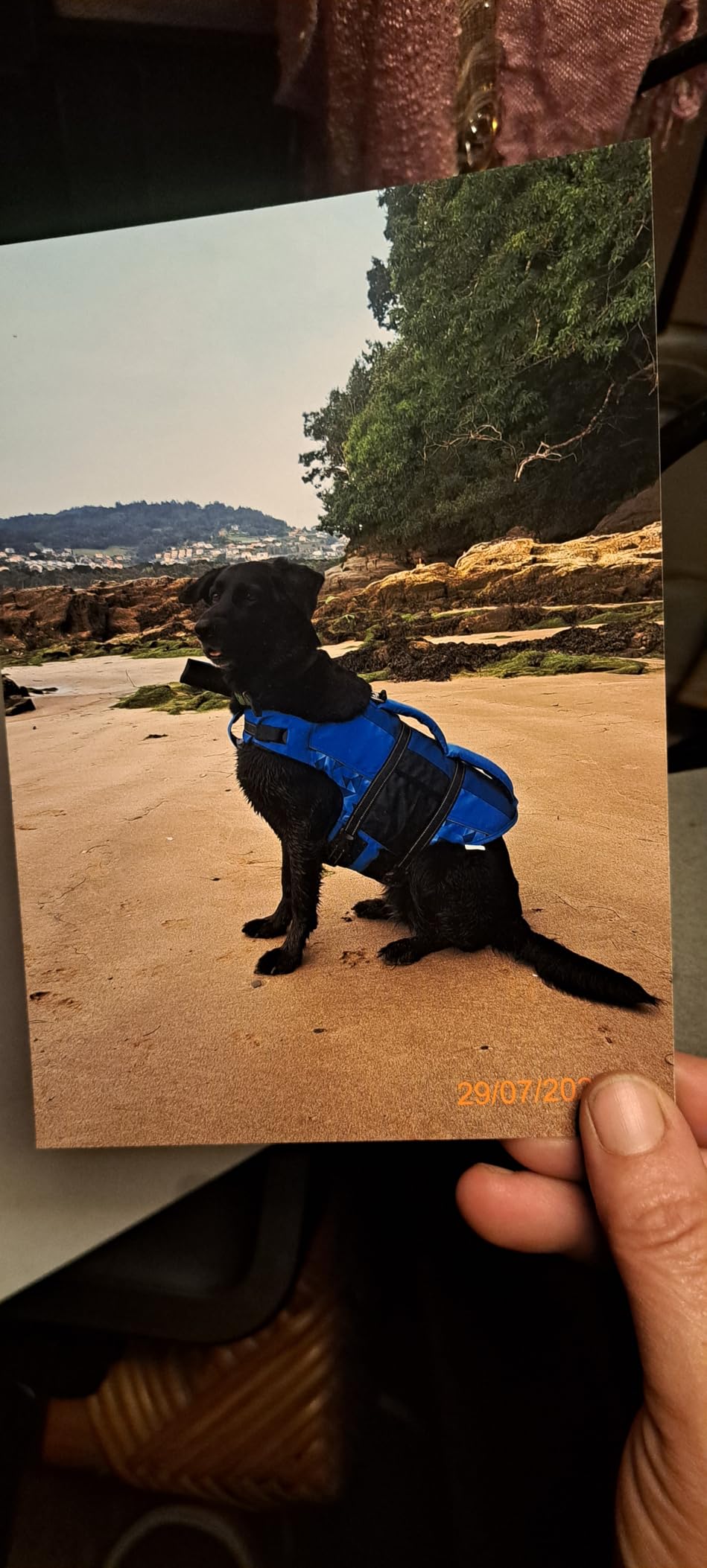 Top für Familienalbum
